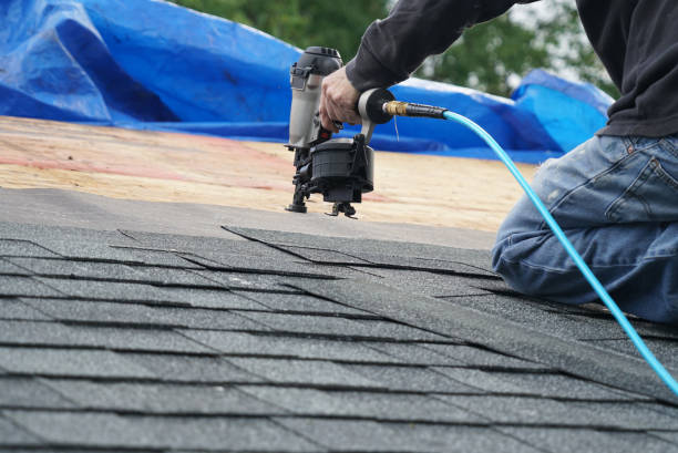 Best Storm Damage Roof Repair  in Okawvle, IL